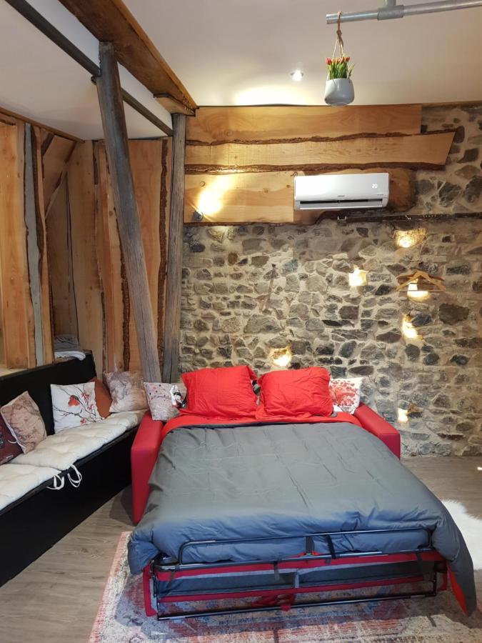 Ancien Cuvage Du Beaujolais - Studio Tout Confort Villa Saint-Didier-sur-Beaujeu Екстериор снимка